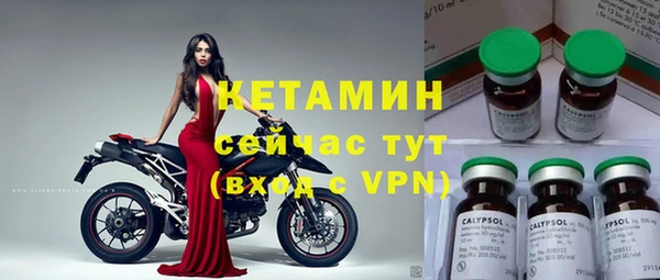 крисы Верхний Тагил