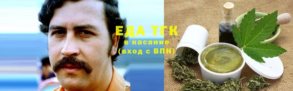 гидра Рославль