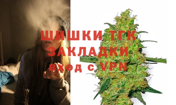 крисы Верхний Тагил