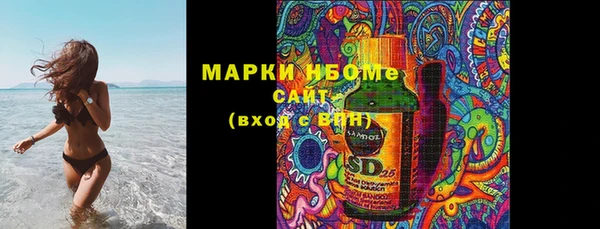 крисы Верхний Тагил