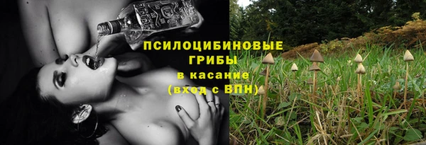 крисы Верхний Тагил